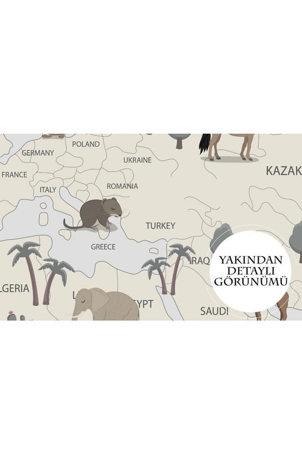 Eğitici Dünya Haritası Üzerinde Hayvanlar Kendinden Yapışkanlı Duvar Folyosu