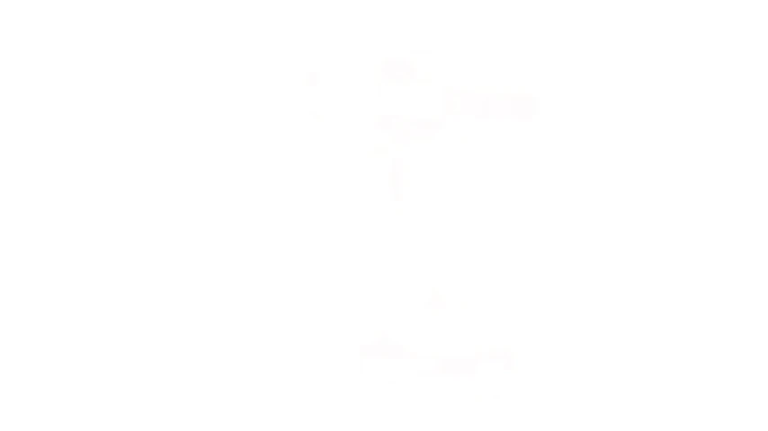 TE-CD 12/1 Li (2x2,0 Ah), Akülü Vidalama