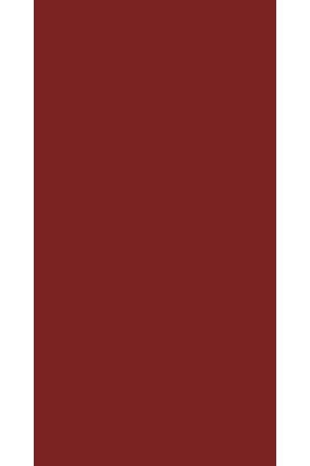 Aqua Pro RAL 3011 Braunrot Metal Boyası 2,25 LT