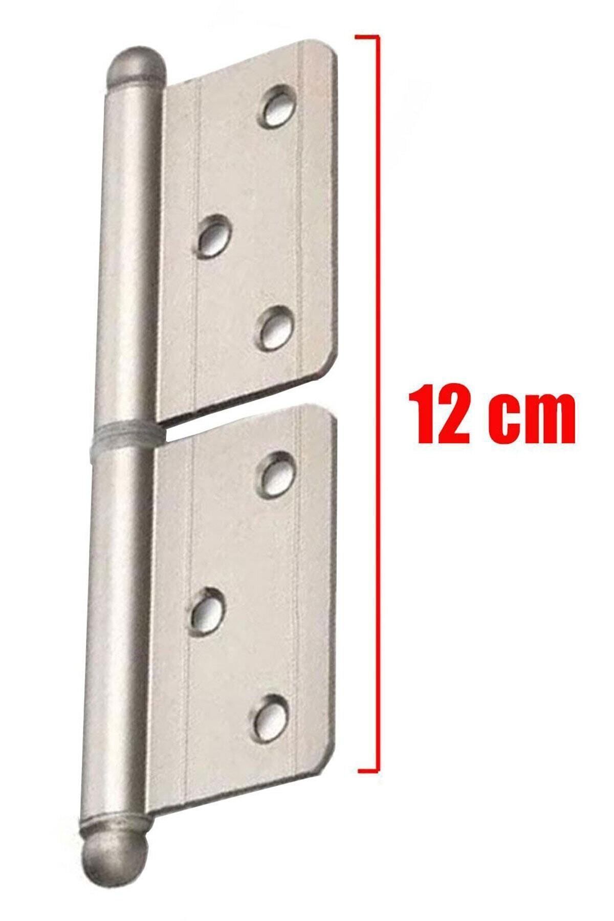 OZKUVVET Yönsüz Kapı Menteşesi Saten 12 cm, 6'lı paket