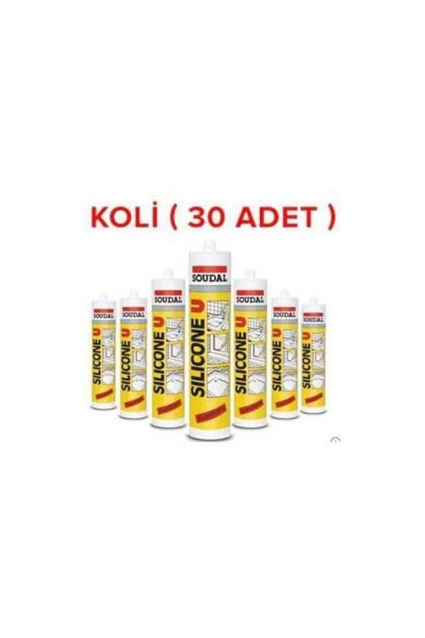 Silikon Şeffar 30 Adet - 1 Koli