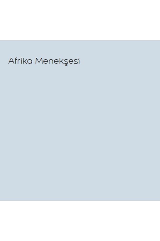 Plastik Mat Silinebilir Iç Cephe Boyası Afrika Menekşesi 15 Lt (20 Kg)