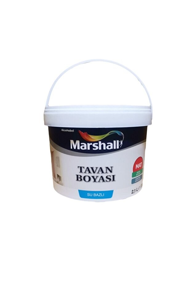 Tavan Boyası 2,1 L