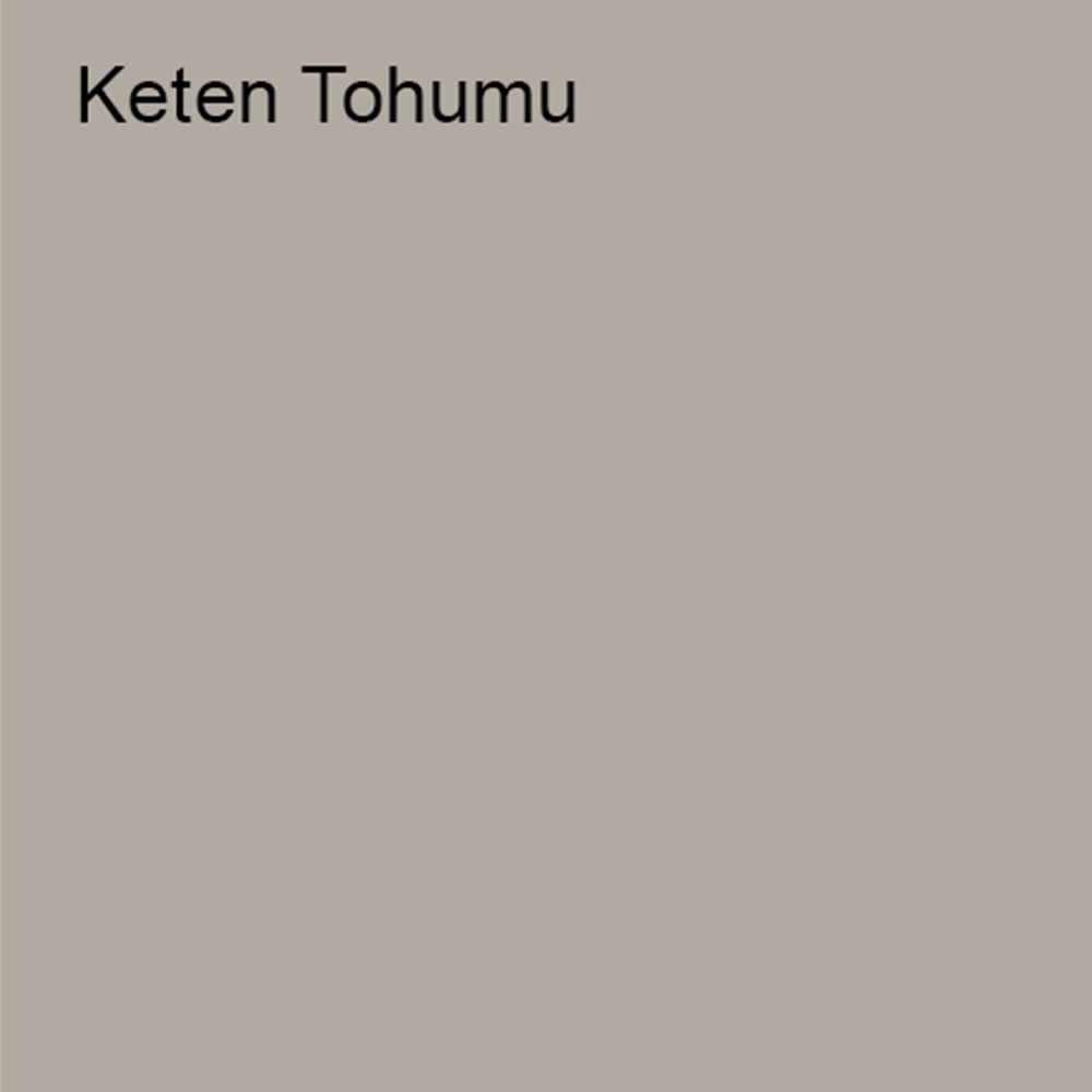Plastik Mat Iç Cephe Boyası Keten Tohumu 7,5 Lt (10 Kg)