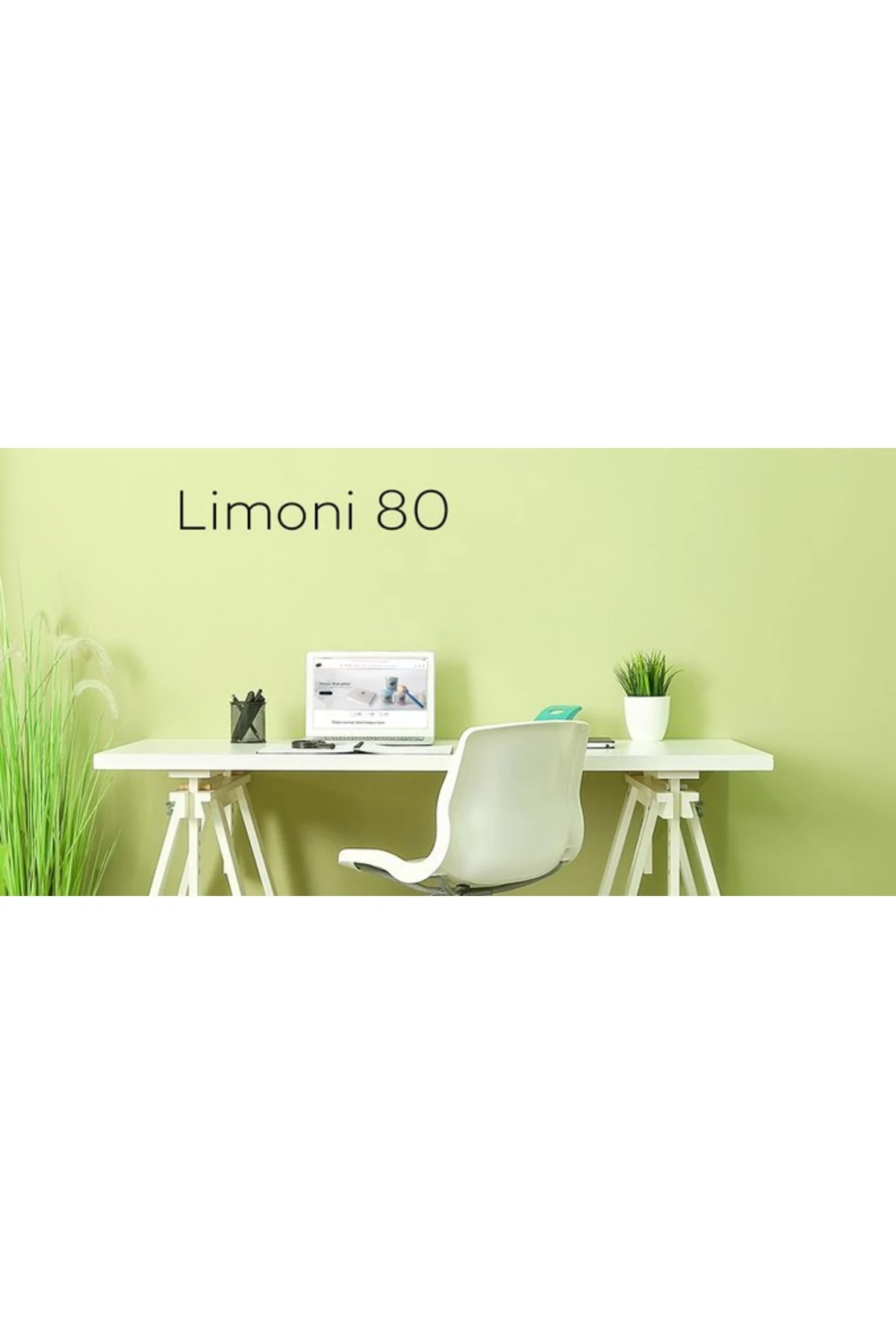 Filli Momento Silan Silinebilir Ipeksi Mat Içcephe Duvar Boyası 1.25ltlimoni80