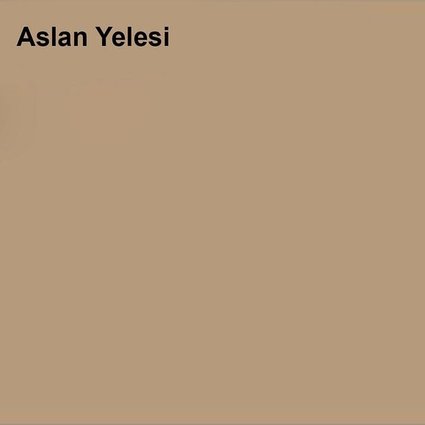 Pastel Yarı Mat Boyası Aslan Yelesi 2,5 Lt (3,5 LT)