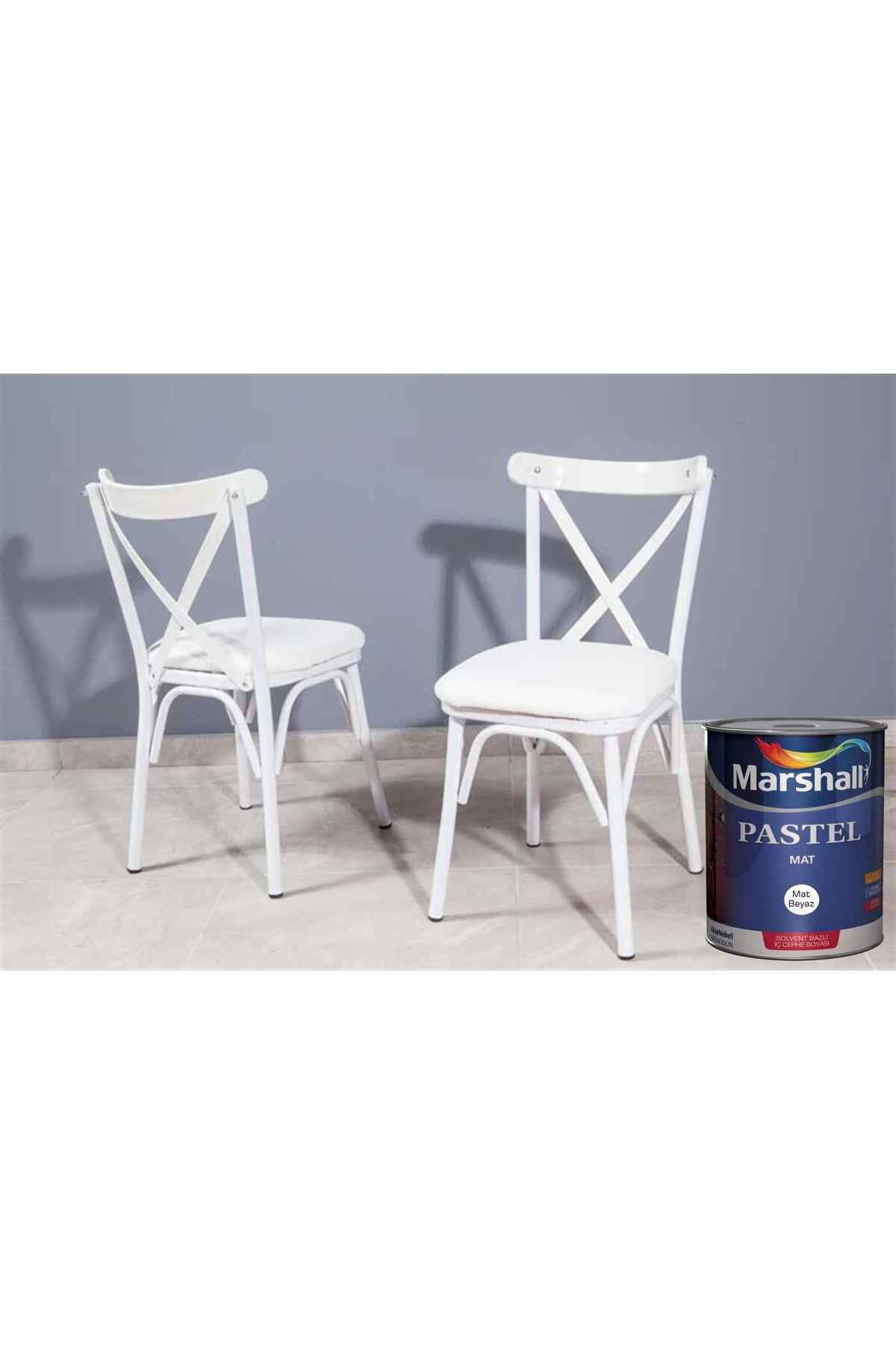 Pastel Mat Ahşap-metal-duvar Boyası Beyaz 0.75lt=1kg-tam Silinebilir-saten Dokulu