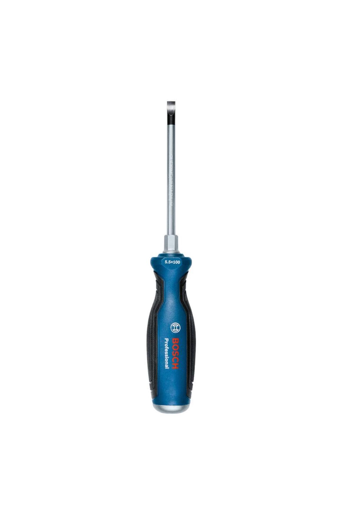 Profesyonel Tornavida SL5.5x100 mm 1600A01TG0