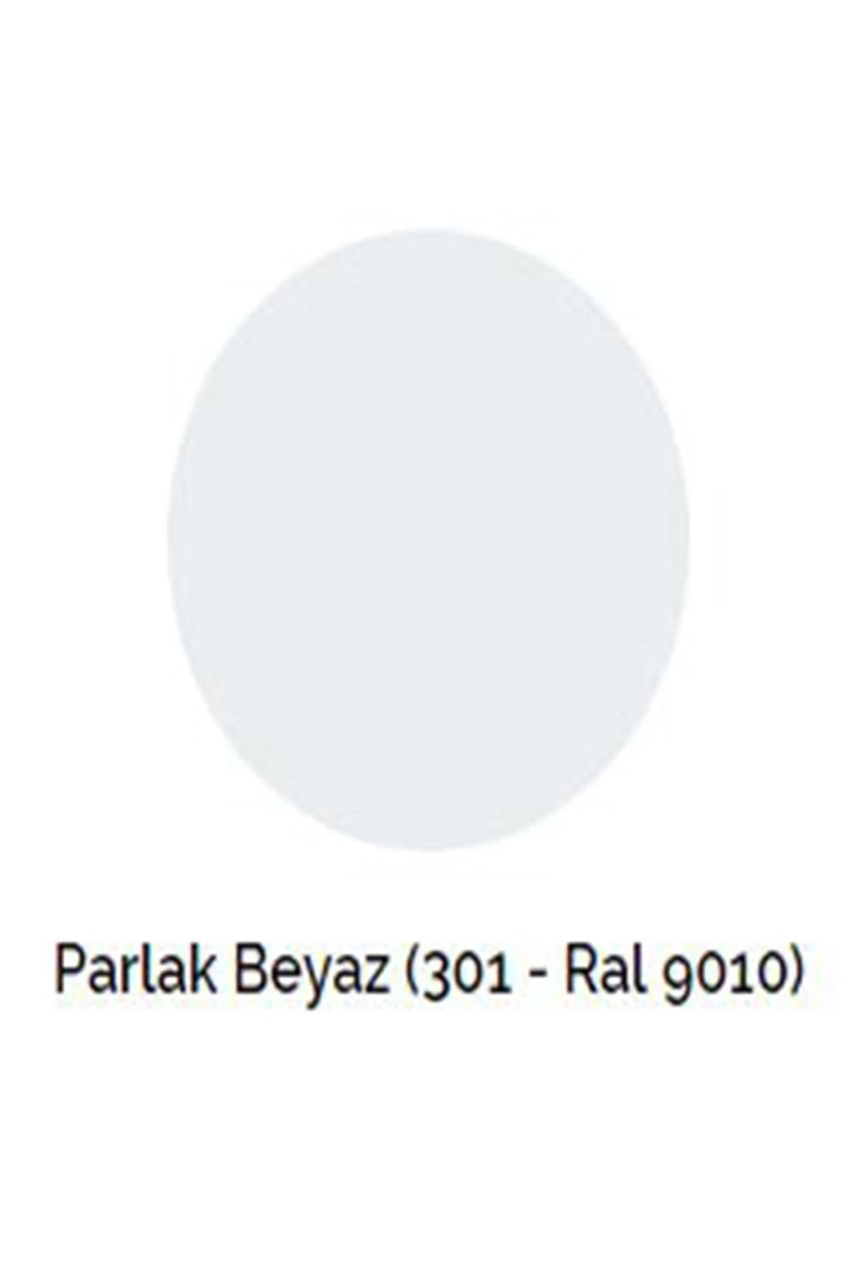 Parlak Beyaz Sprey Boya - 301