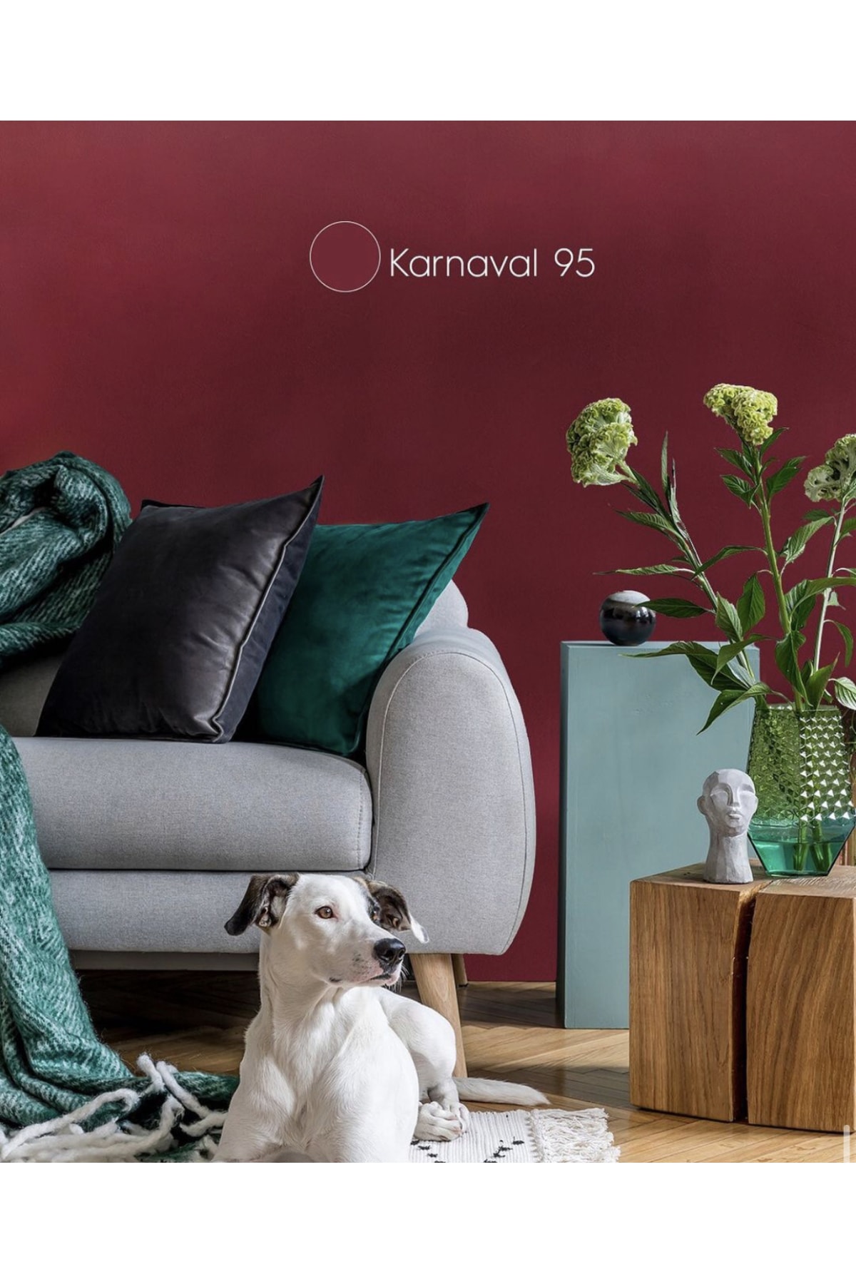 Momento Max 2.5lt Renk: Karnaval95 Soft Mat Tam Silinebilir Iç Cephe Boyası