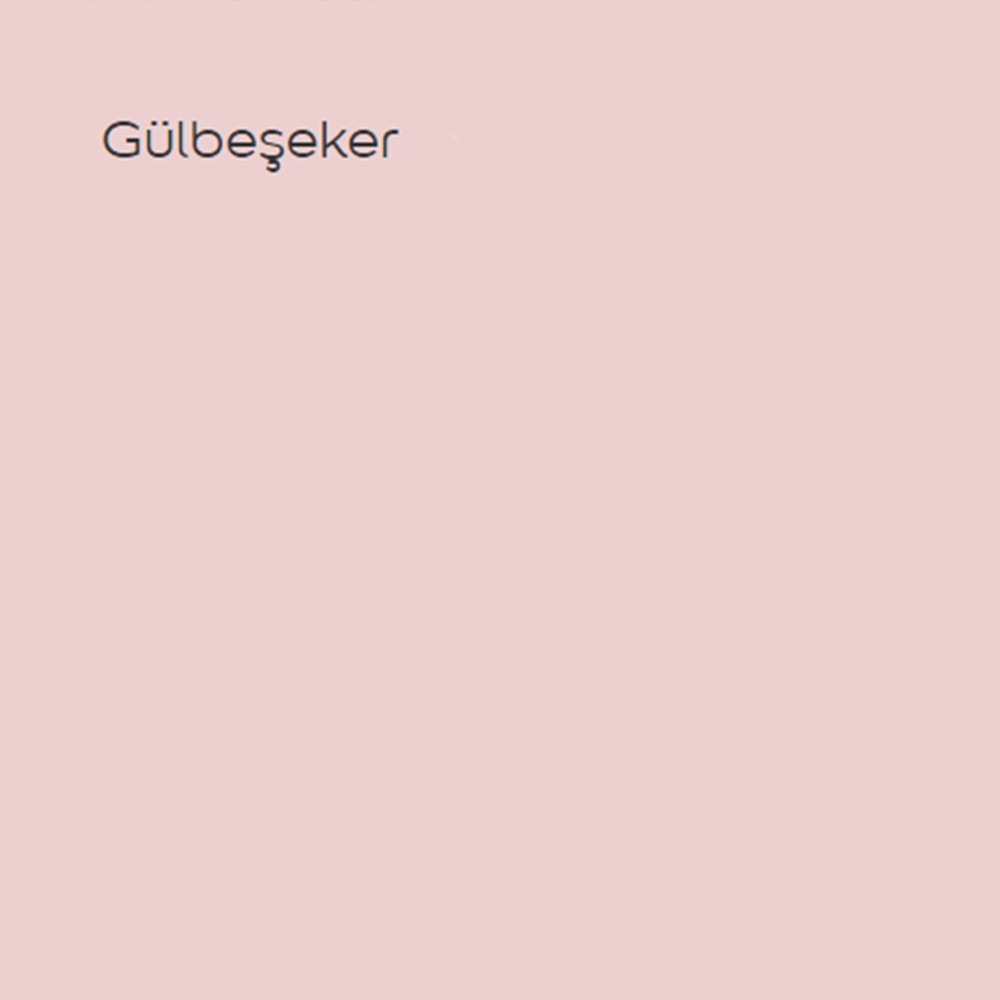 Plastik Mat Iç Cephe Boyası Gülbeşeker 2,5 Lt (3,5 Kg)
