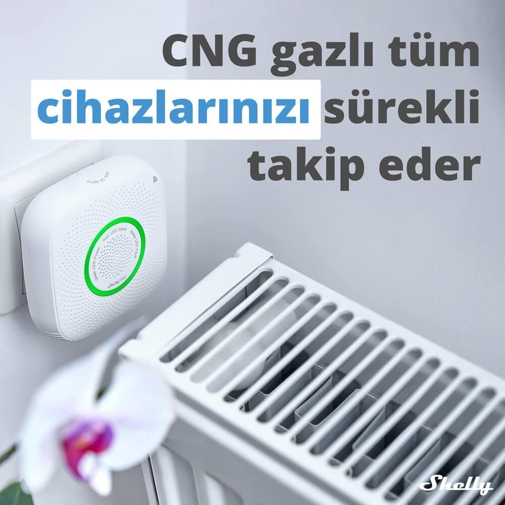 Gas Akıllı Cng Gaz Dedektörü