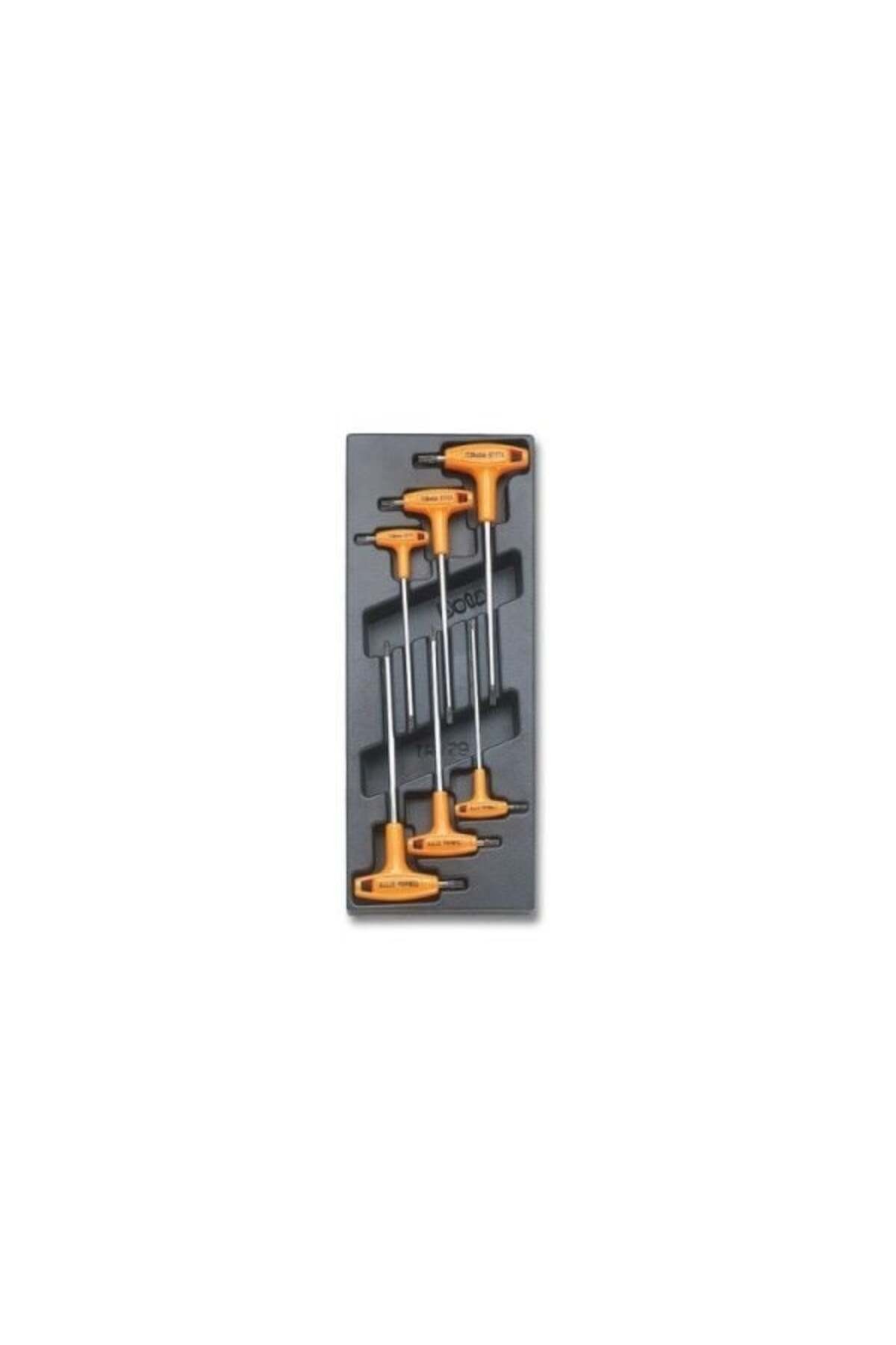 T Torx Takımı 6`lı T55