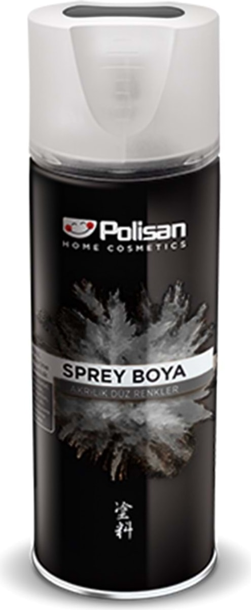 Akrilik Sprey Boya - Ral 9005 / Parlak Siyah