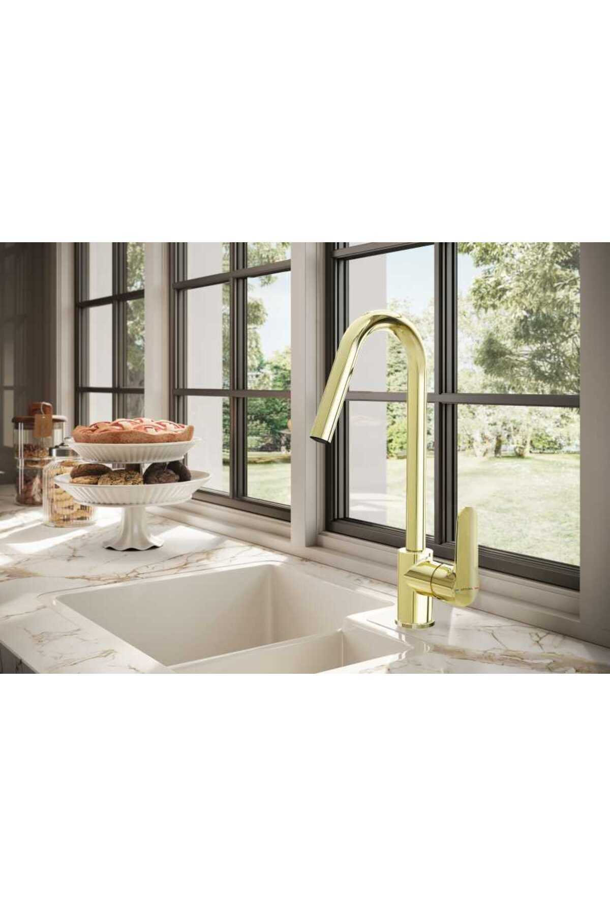 Root Round A4274223 Eviye Mutfak Bataryası, Altın