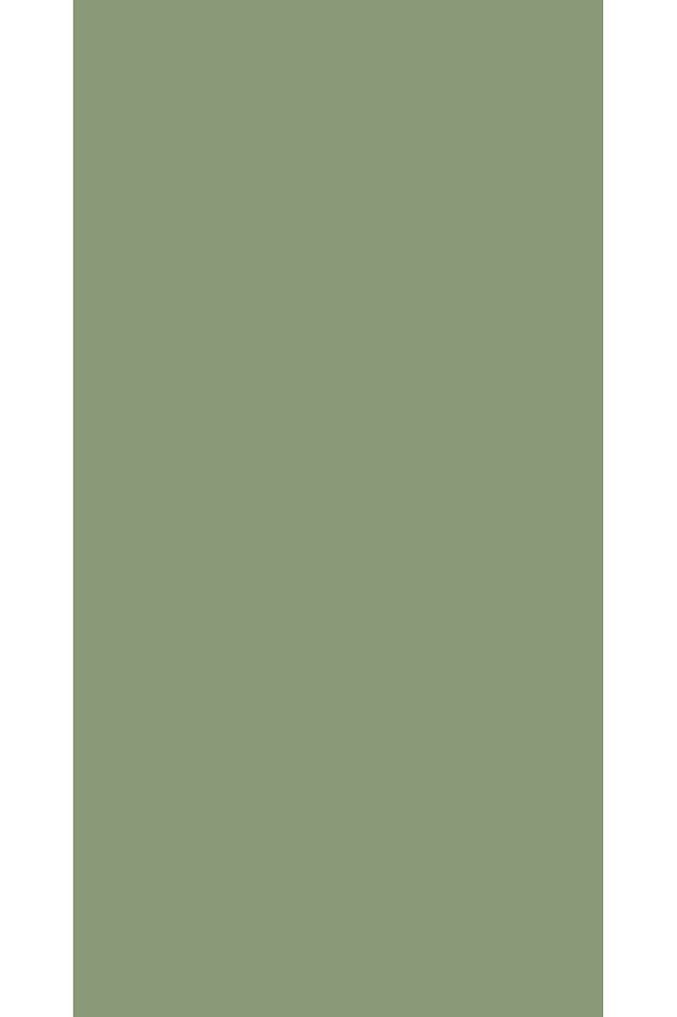 Aqua Pro RAL 6021 Blassgrün Metal Boyası 0,9 LT