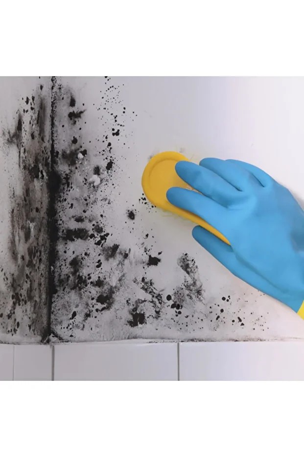 Anti-küf Anti-mold Sprey 1 Kg
