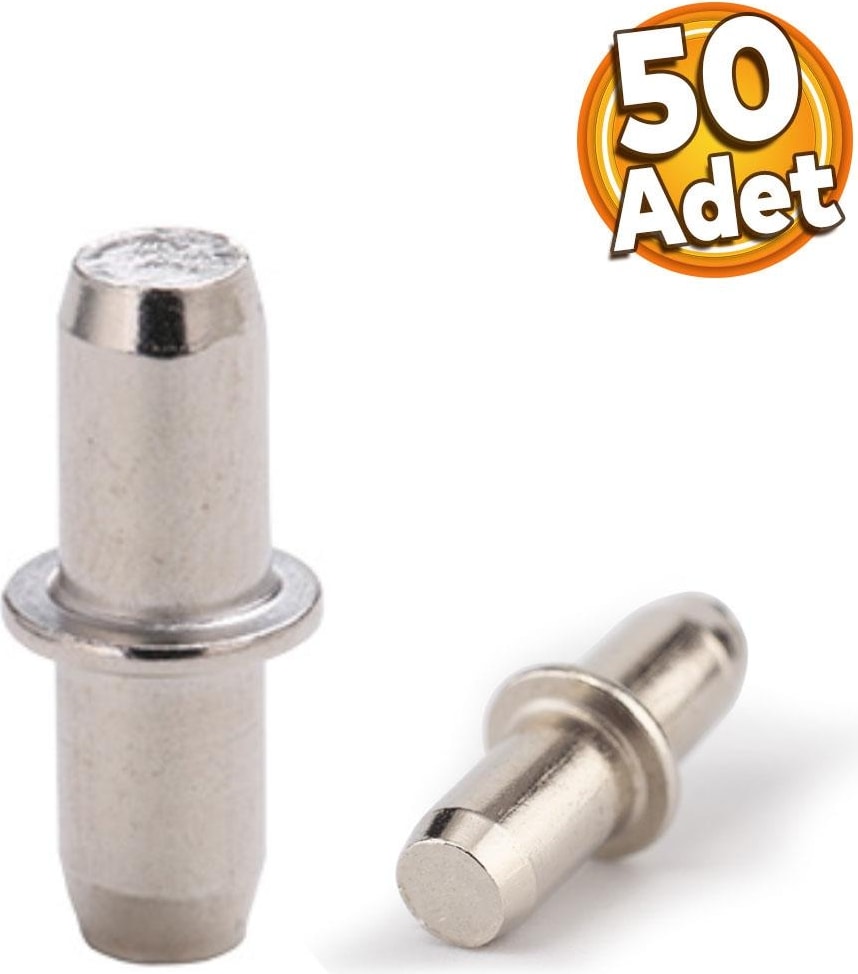 Raf Pimi Cam Ahşap Metal Raf Tutucu Çivisi Mobilya Dolap Pimi Metal (50 Adet)