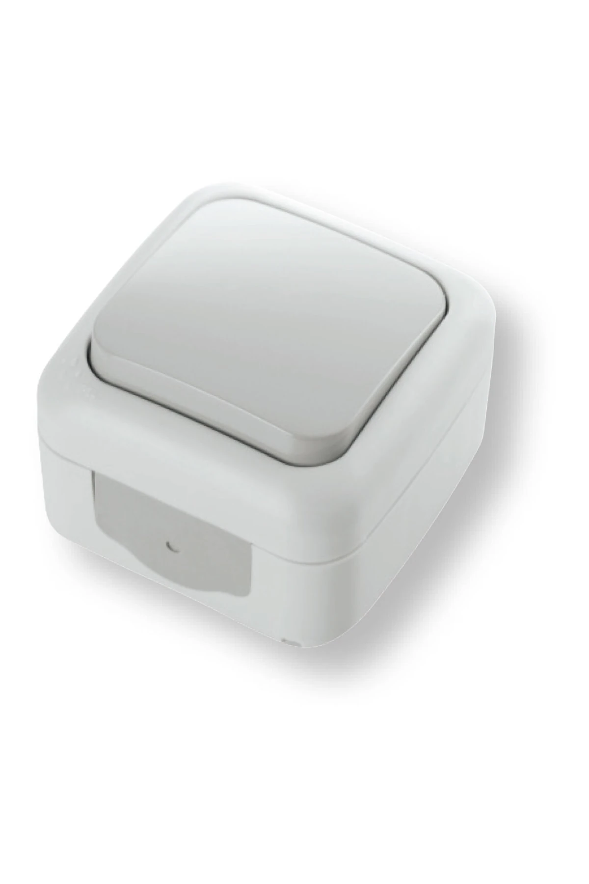 Palmiye Anahtar Beyaz Sıva Üstü