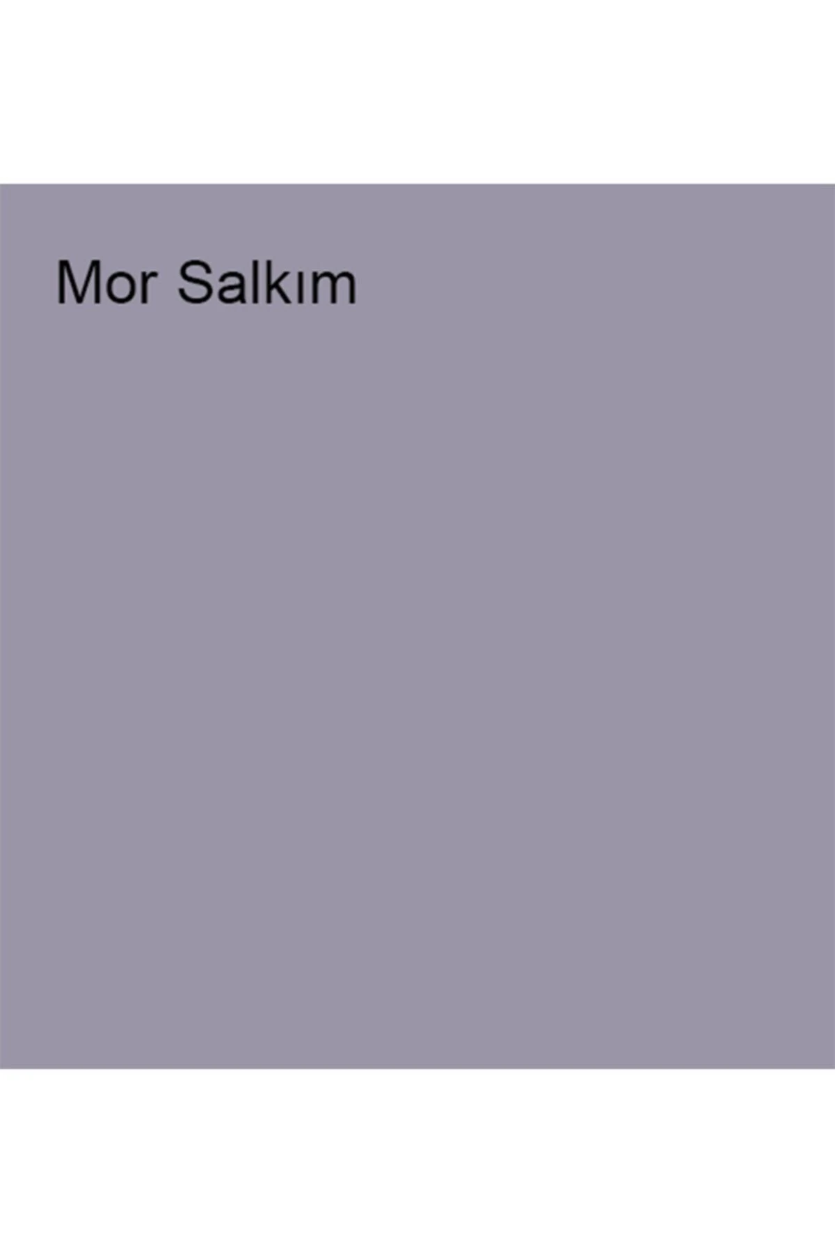 Antibakteriyel Hijyen Iç Cephe Boyası Mor Salkım 2,5 Lt (3,5 Kg)