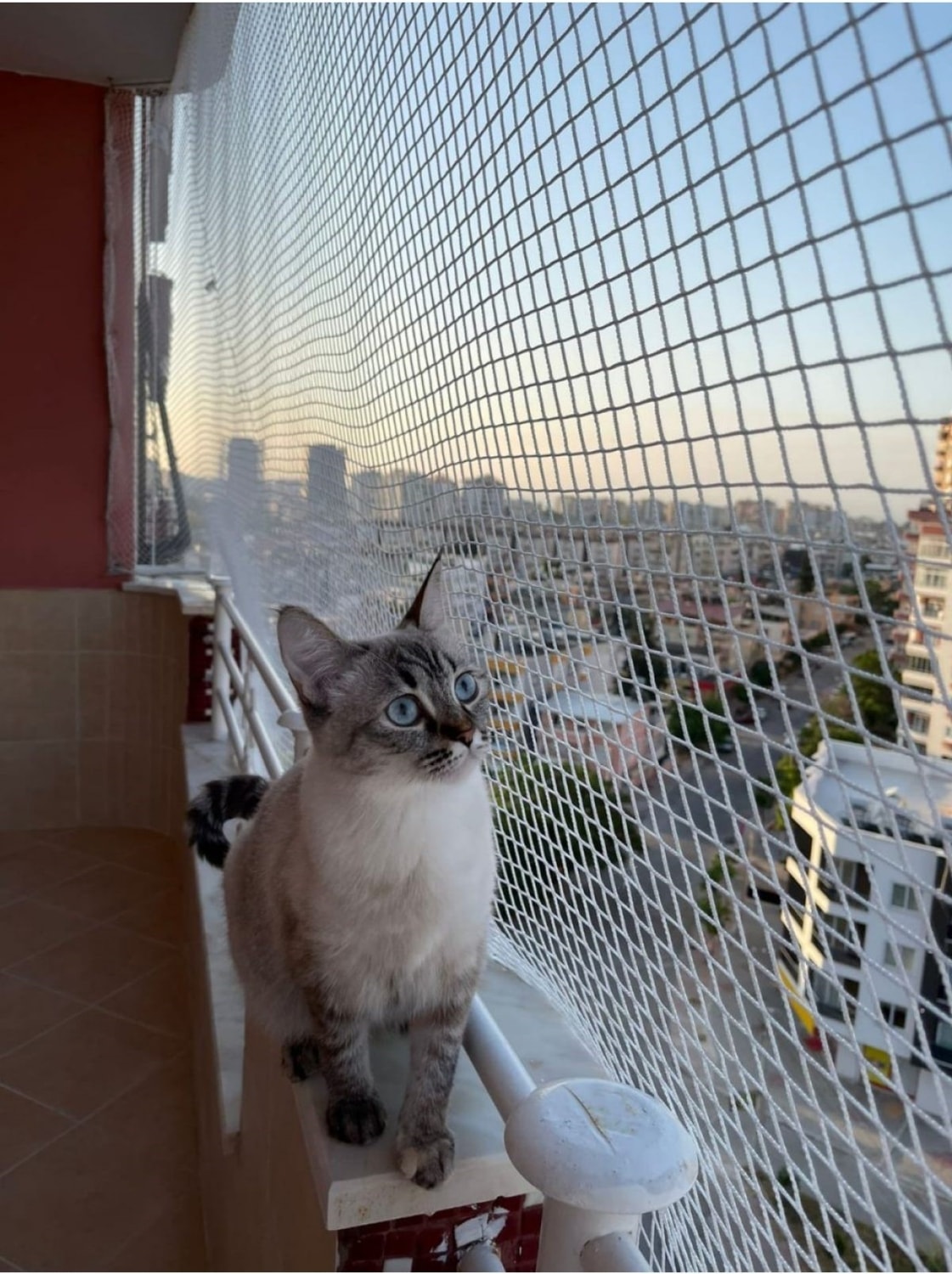 1 mm - Kare Kesim - Kedi Filesi - Bahçe Filesi - Kuş Filesi - Balkon Filesi -