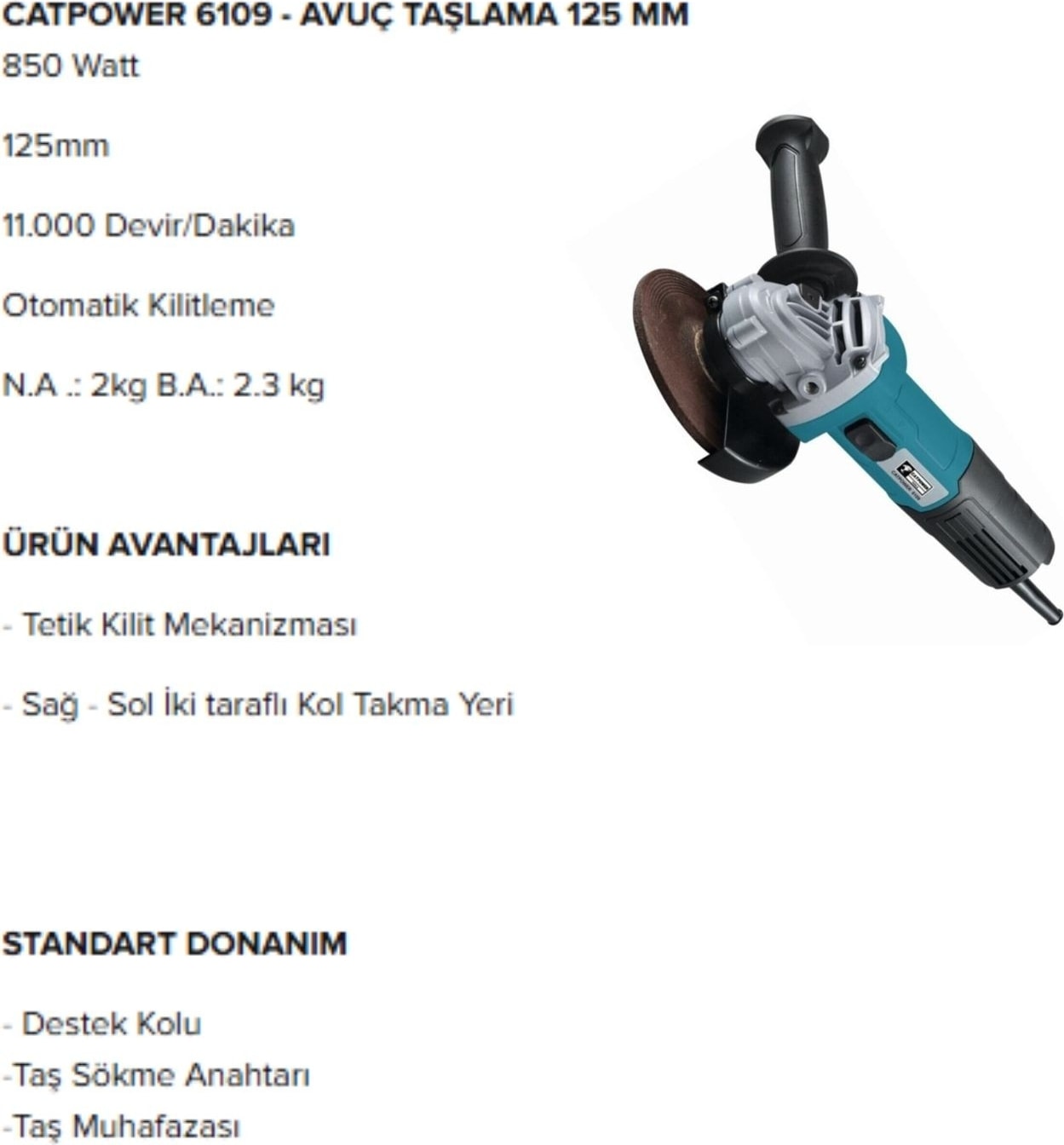 6109 Avuç Taşlama 125 mm