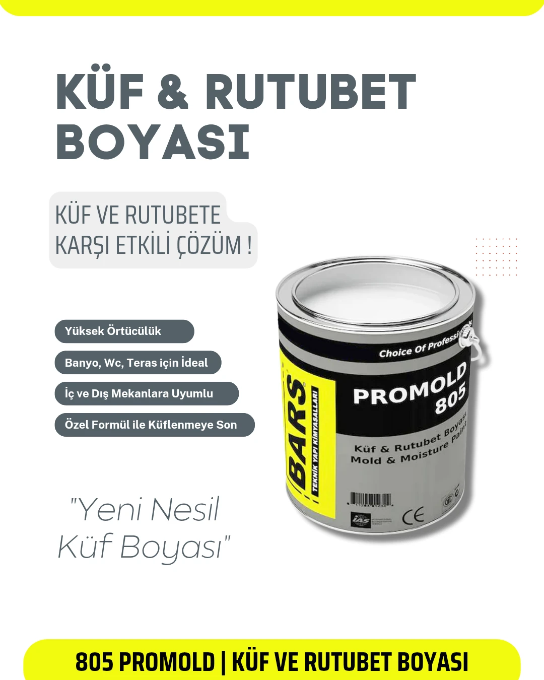 Küf ve Rutubet Önleyici, İç ve Dış Cephe, Duvar Boyası