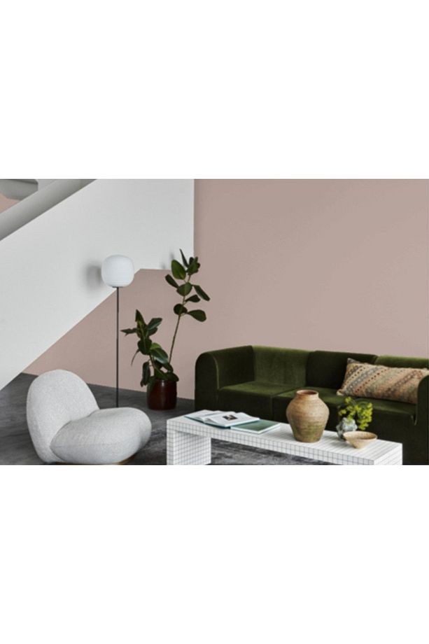 Pudra 2845 Fenomastic Güzel Evim Serisi Zengin Mat 1lt