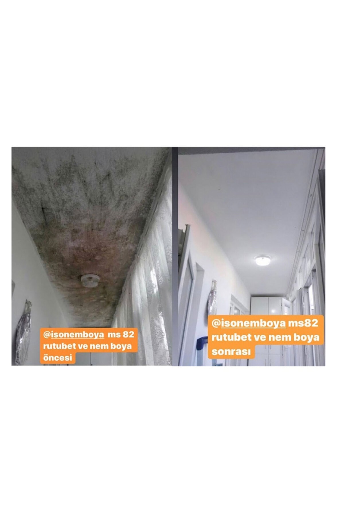 MS82 Rutubet ve Nem Boyası 5 Kg