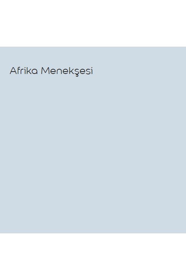 Antibakteriyel Hijyen Ipek Mat Iç Cephe Boyası Afrika Menekşesi 15 Lt (20 KG)