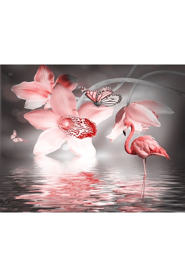 Flamingo Duvar Kağıdı 15