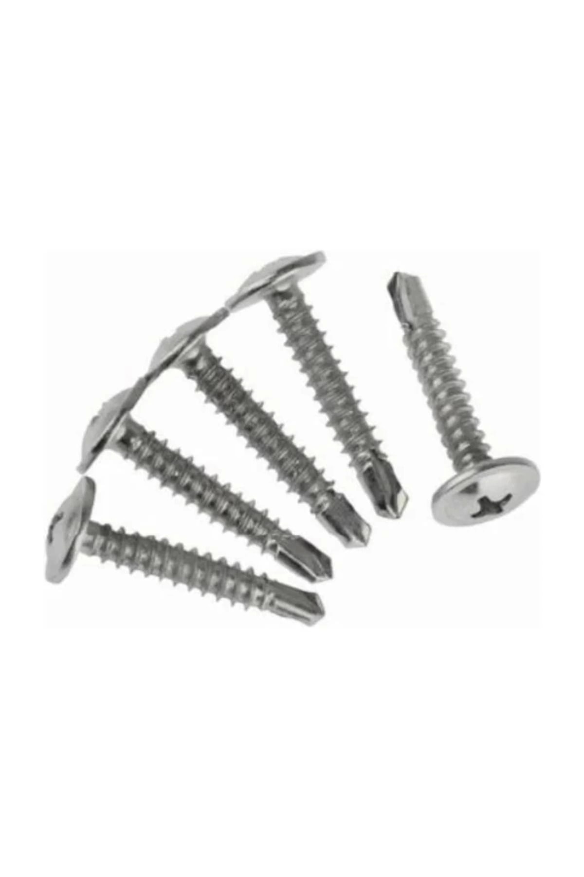 AKDENİZ  Rysb Pul Baş Matkap Uçlu Vida 4,8x22 Çinko 5 Paket 2500 Adet