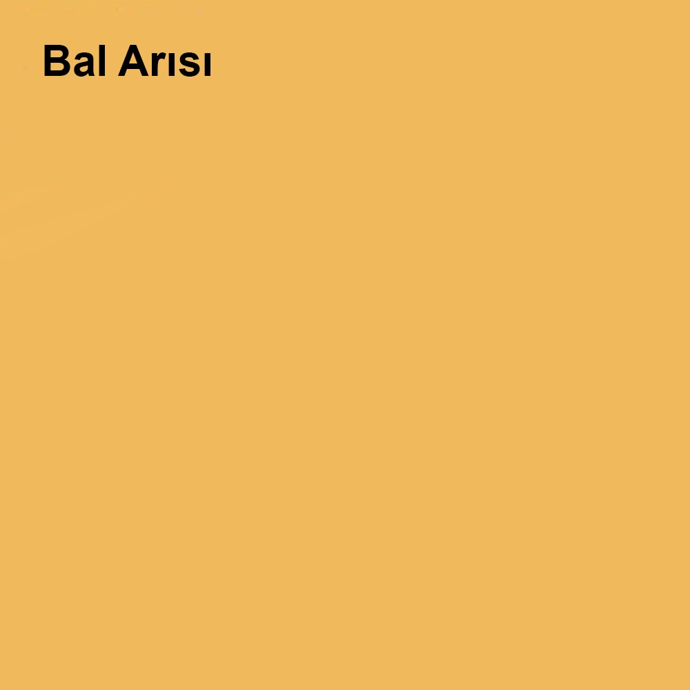 Silikonlu Özel Mat Bal Arısı 0,75 Lt (1 Kg)