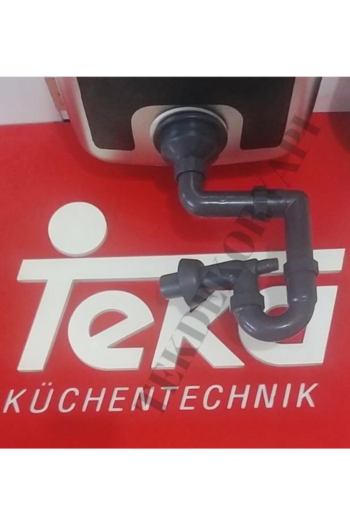 Evye Sifonu Taşmasız Büyük Kafalı