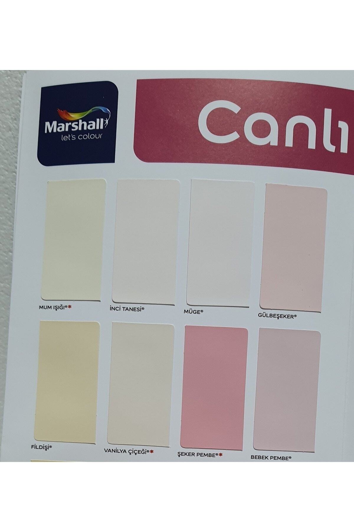 Sil-Pak Su Bazlı İç Cephe Boyası 2.5 lt