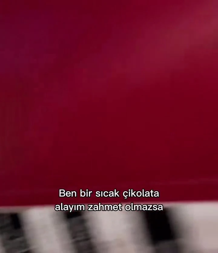 Silikonlu Özel Mat Duvar Boyası 15 lt - 20 kg Inci Tanesi