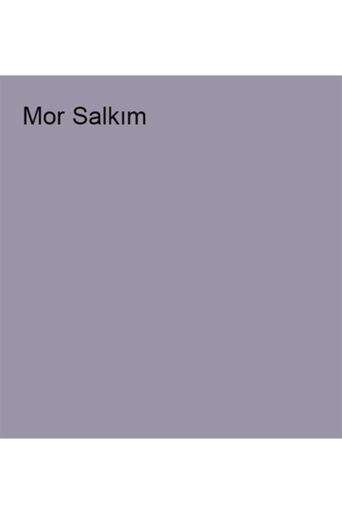 Silikonlu Özel Mat Mor Salkım 0,75 lt 1 kg