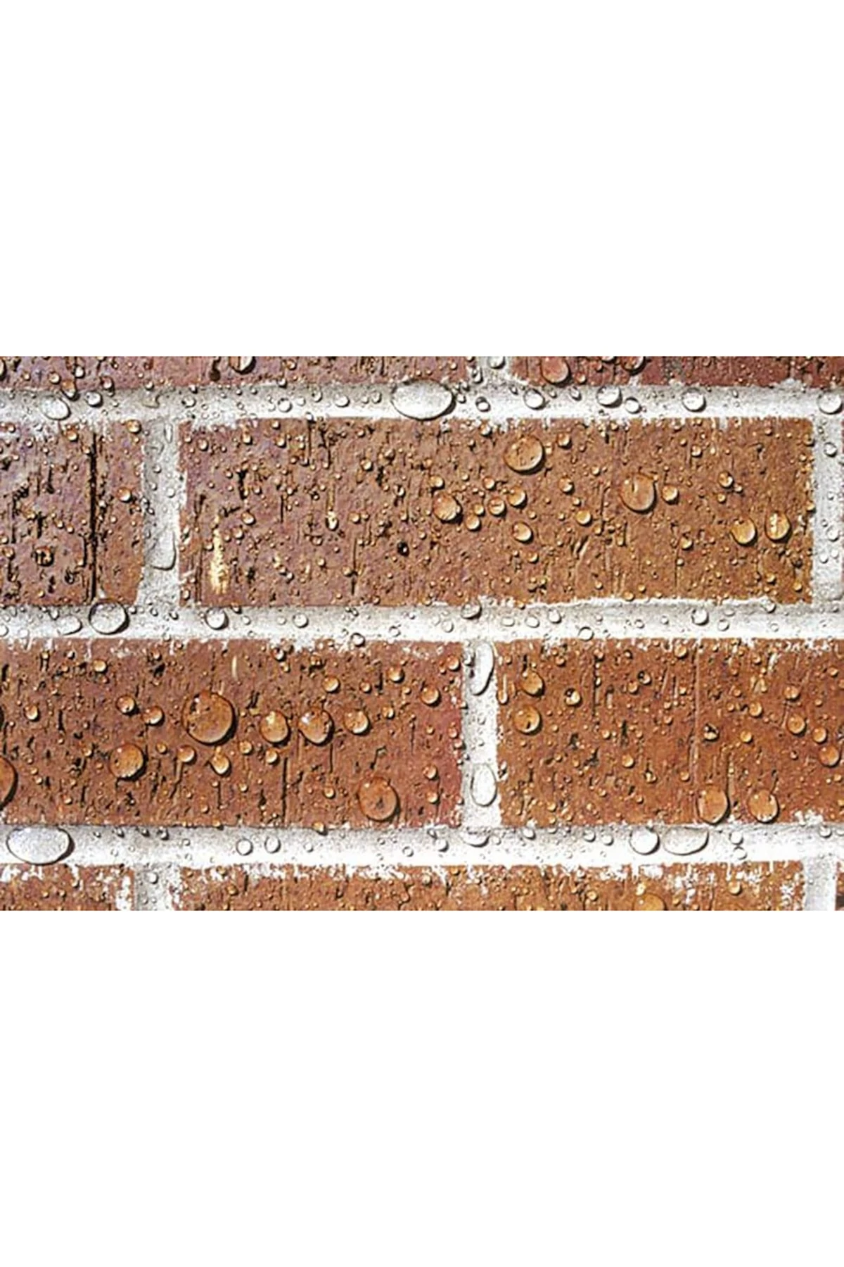 Ms 80 Doğal Görüntüyü Bozmayan Şeffaf Dış Cephe Su Yalıtımı 3,5 L