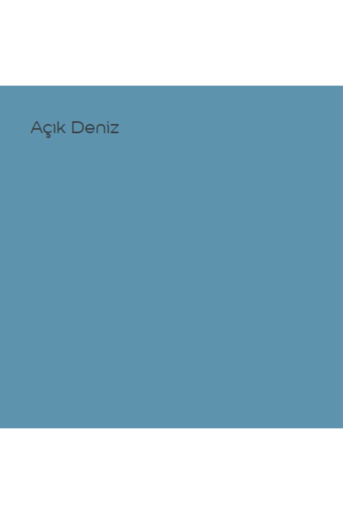 Silikonlu Özel Mat Açık Deniz 0,75 lt 1 kg