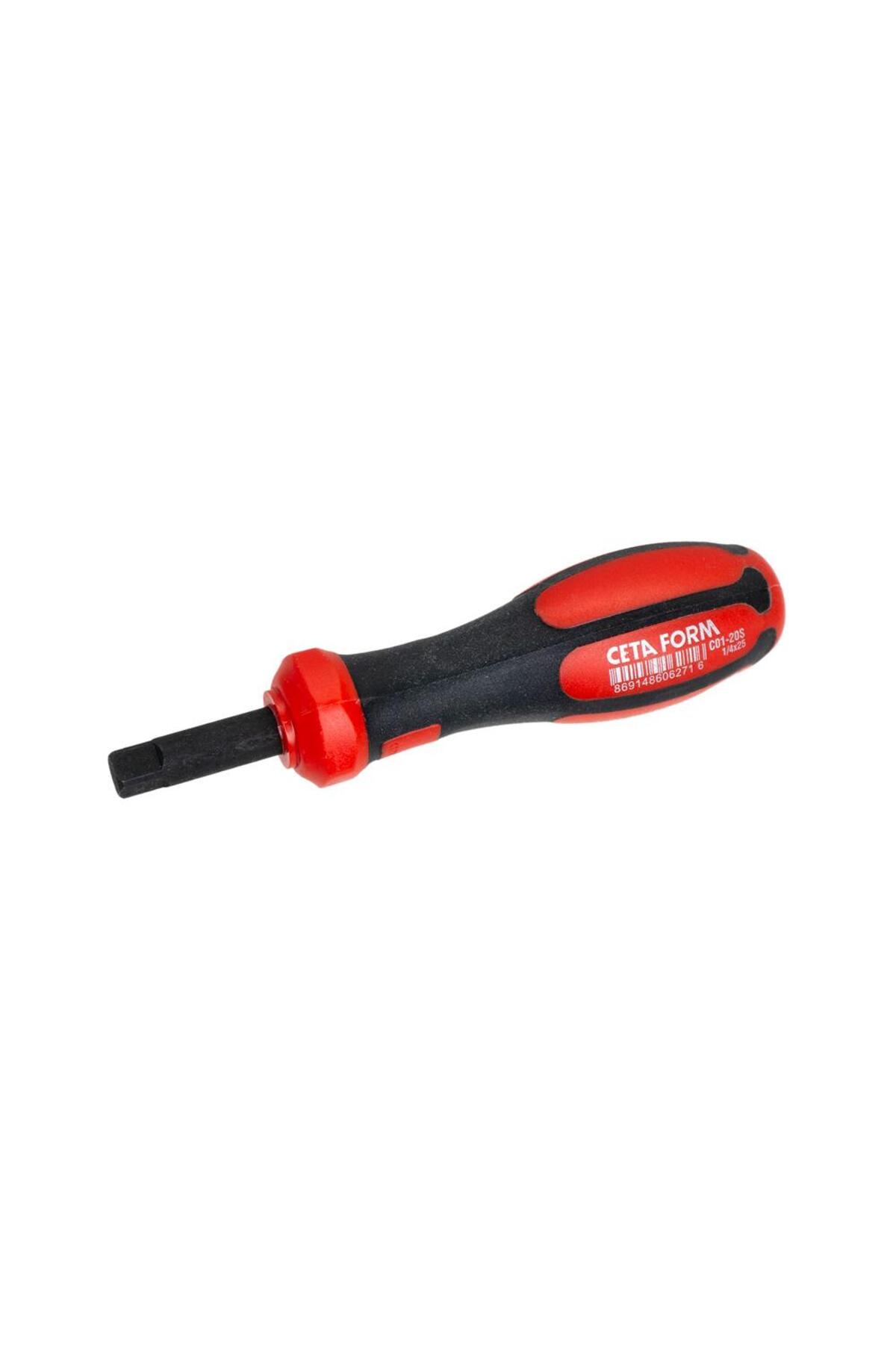 CETA FORM C01-20S 1/4" Lokma Tornavida 2.5 cm