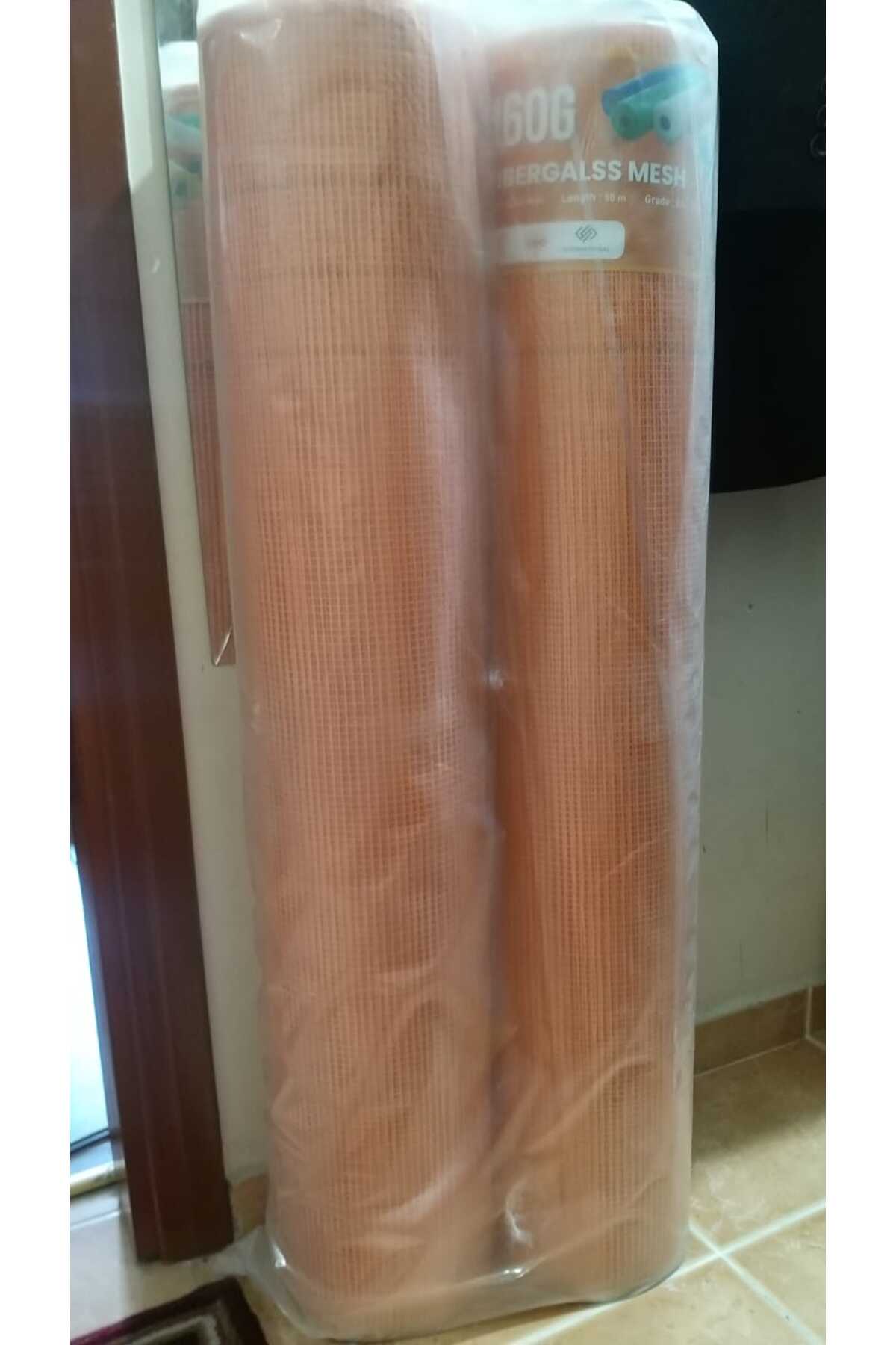 SIVA FİLESİ 160 GR (2 ADET)