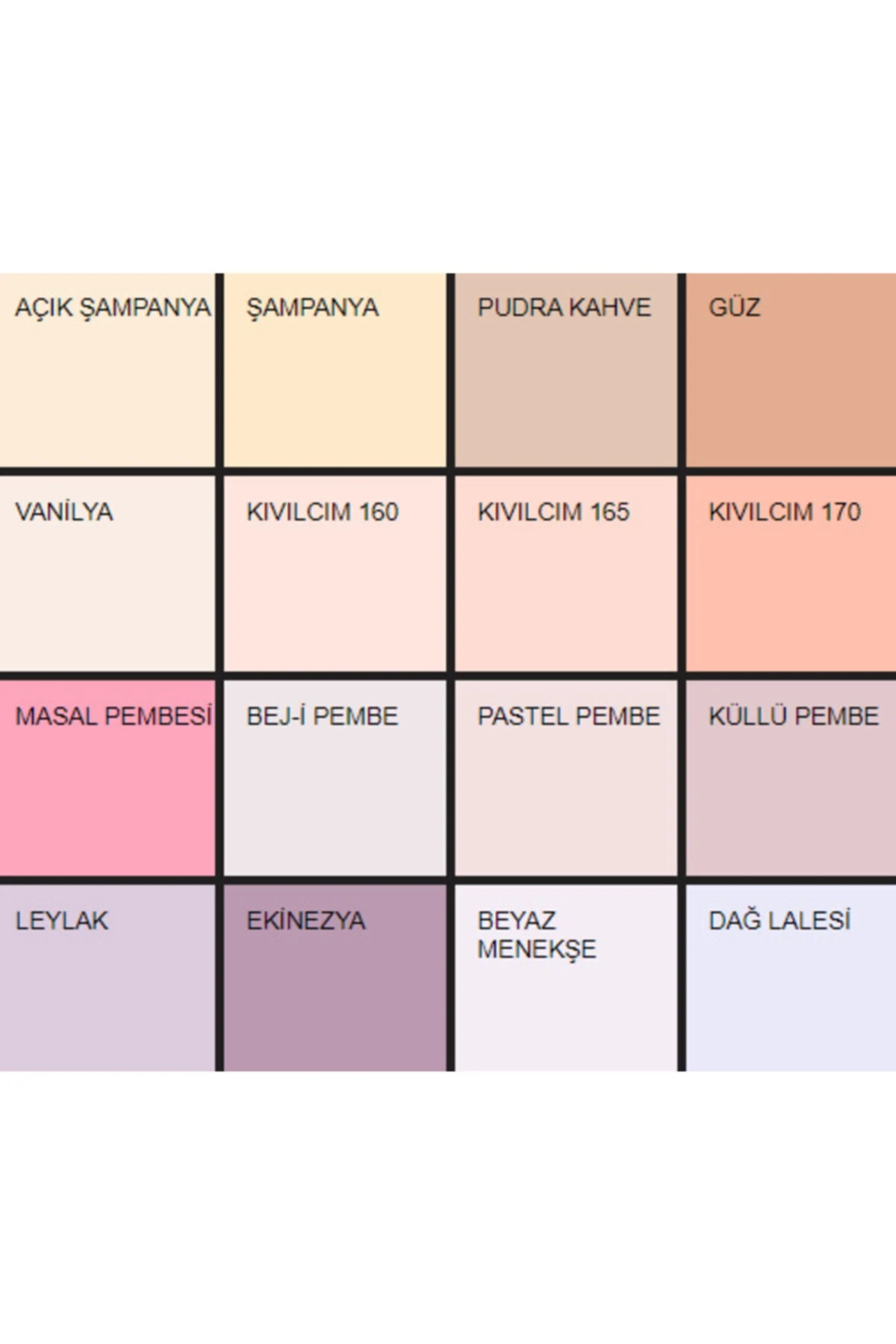 Filli Momento Max Iç Cephe Masal Pembesi B-107 2,5 L