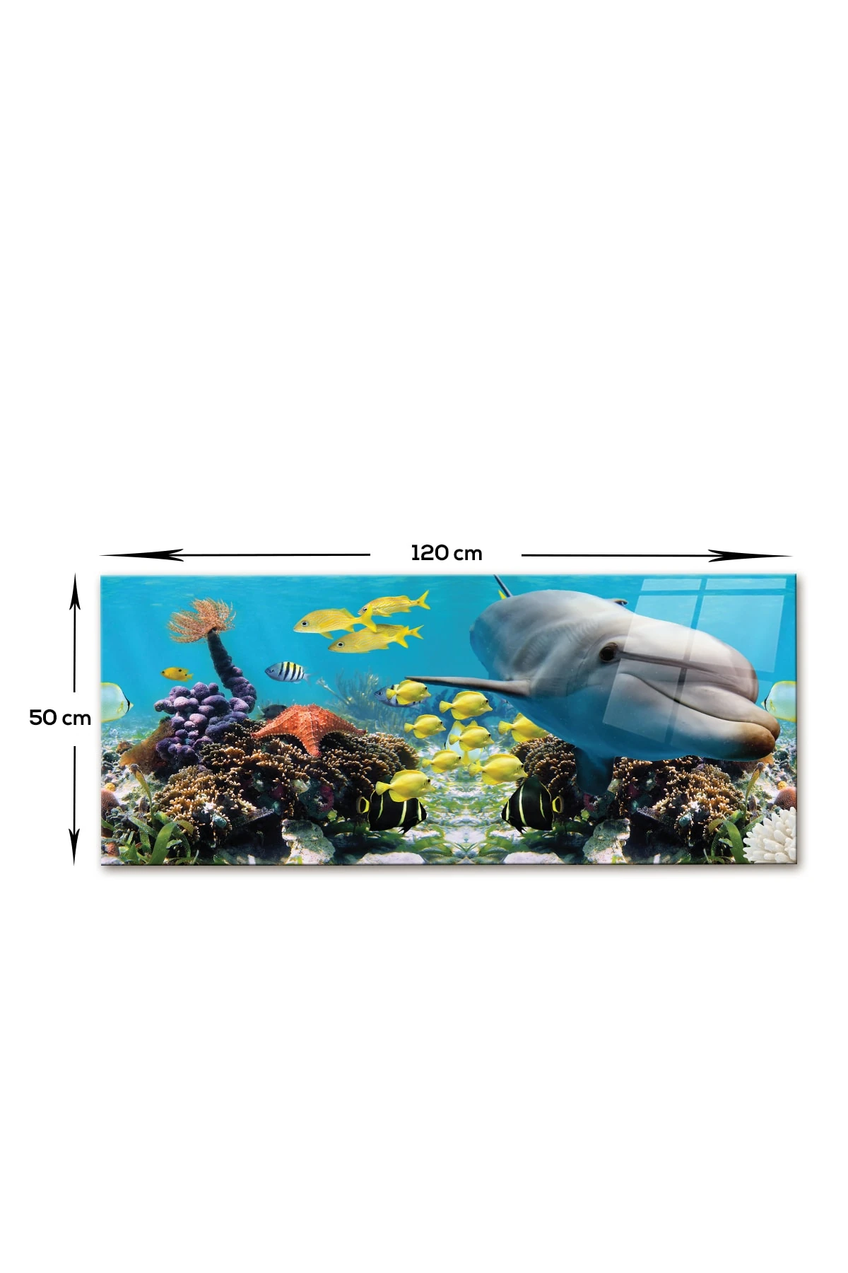 Petek Üstü Cam | Yunuslu Akvaryum | 50cm X 120cm