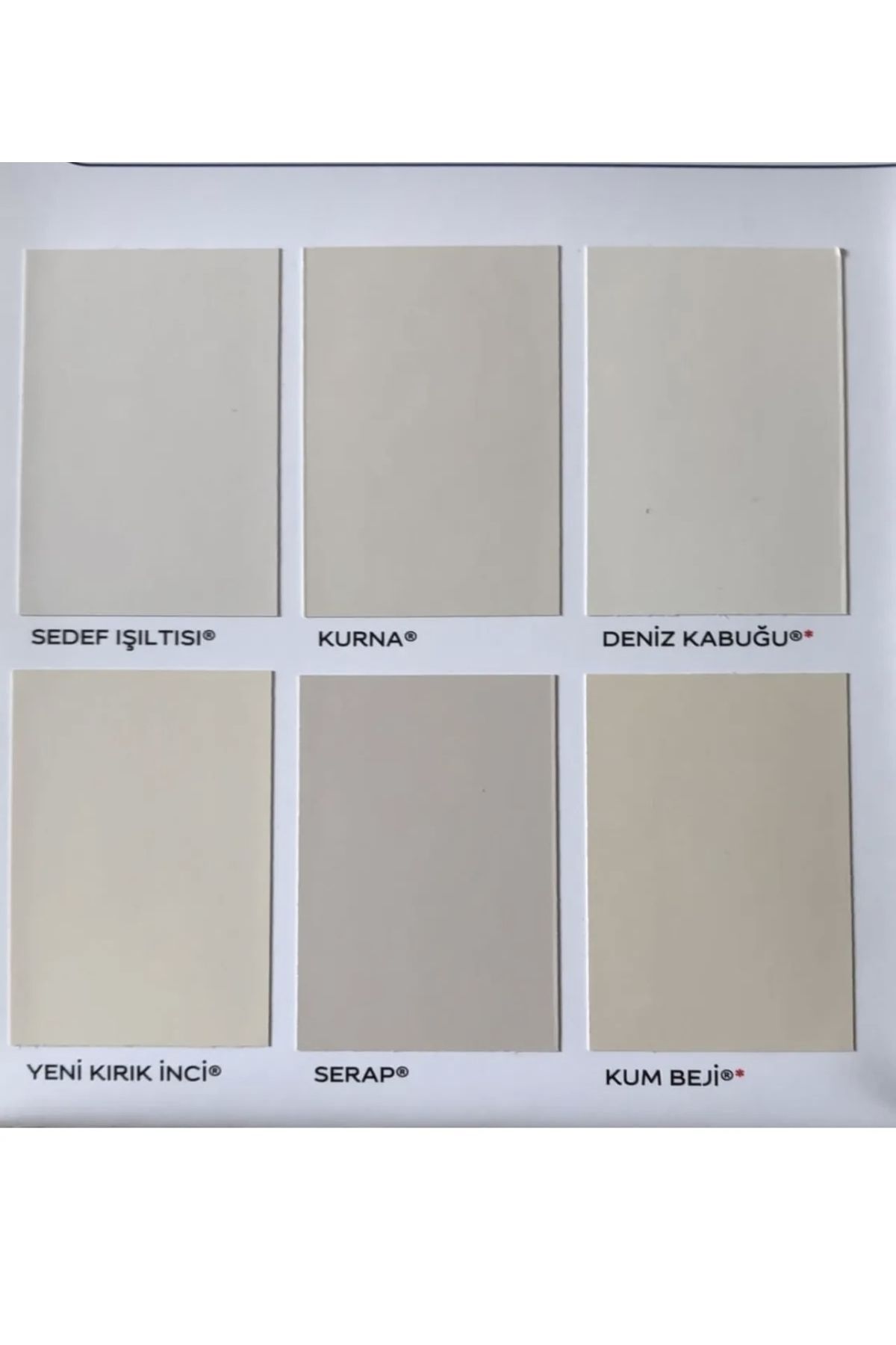 Silikonlu Özel Mat 2,5 Lt- Sedef Işıltısı