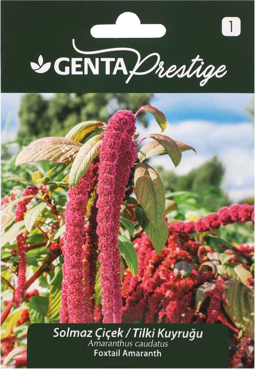 Prestige Çiçek Tohumu Solmaz Çiçek Tilki Kuyruğu  Prestige