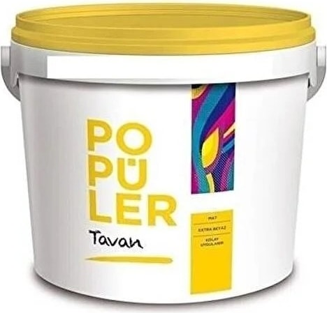 POLİSAN Popüler Tavan 17.5 kg