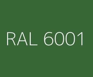 Rapid Boya 15 kg Çimen Yeşili Ral 6001