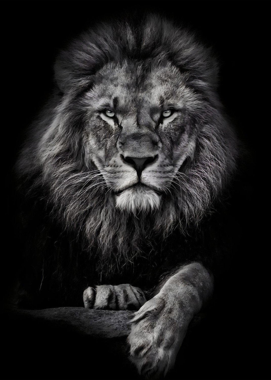 aslan-Kaplan-Leopar Tablosu 05|çerçeveli Temperli Cam Tablo 3lü Dikey