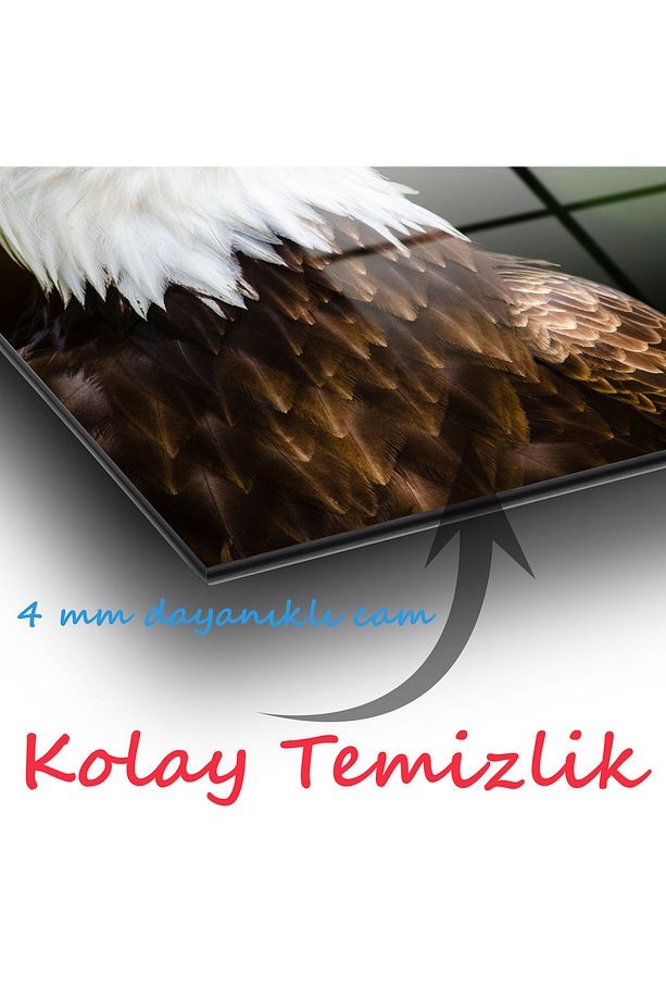 Kartal Dikey Cam Tablo, Modern Ev Ofis Salon Duvar Dekoru, Hediyelik Tablo Dekor