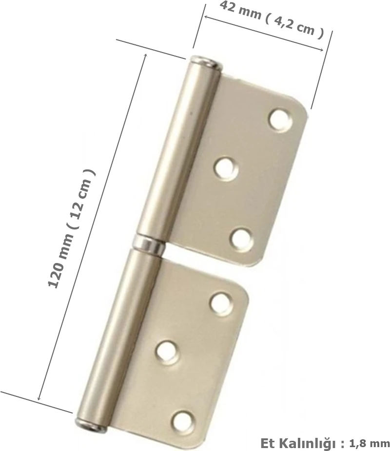 Era Çelik Panel Yönsüz Kapı Menteşesi 12 cm Saten